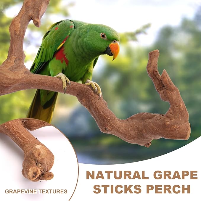 Parrot Perch Bird Perch Stand Set Natural Wild Wood Grape Sticks Paw Grinding - Image 3