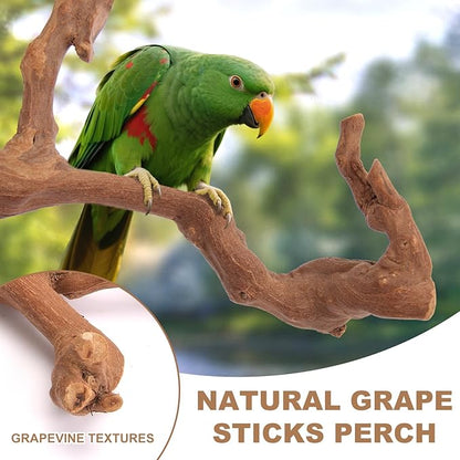 Parrot Perch Bird Perch Stand Set Natural Wild Wood Grape Sticks Paw Grinding - Image 3