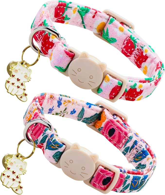 Spring Cat Collar-2 Pack Collars Strawberry and Flower Print Breakaway by BoboRainbow