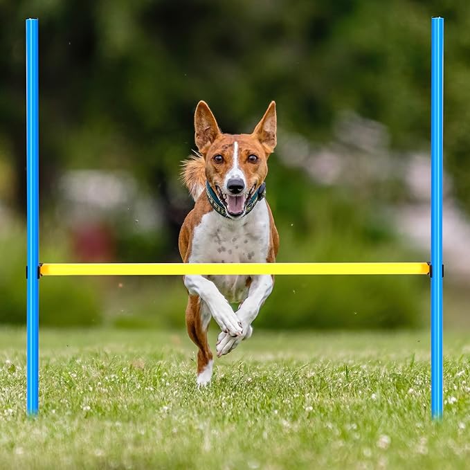 8 Set Dog Agility Jump Adjustable Dog Agility Hurdle Training Equipment - Image 3