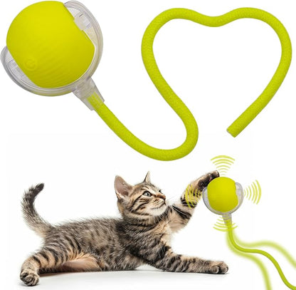 Interactive Cat Dog Toy Ball: Indoor Small Automatic Moving Smart Rolling Fun by AEBDERP