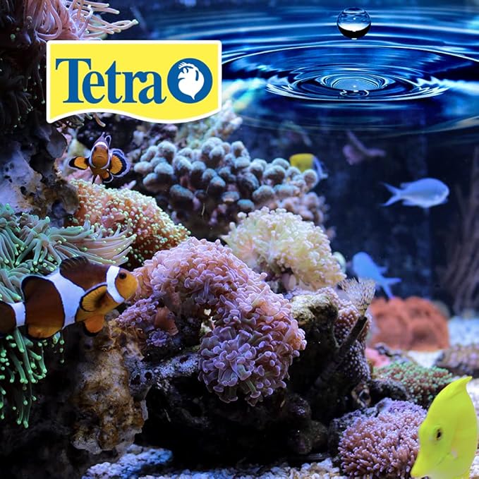 Tetra BettaSafe, Aquarium Water Conditioner - Image 2