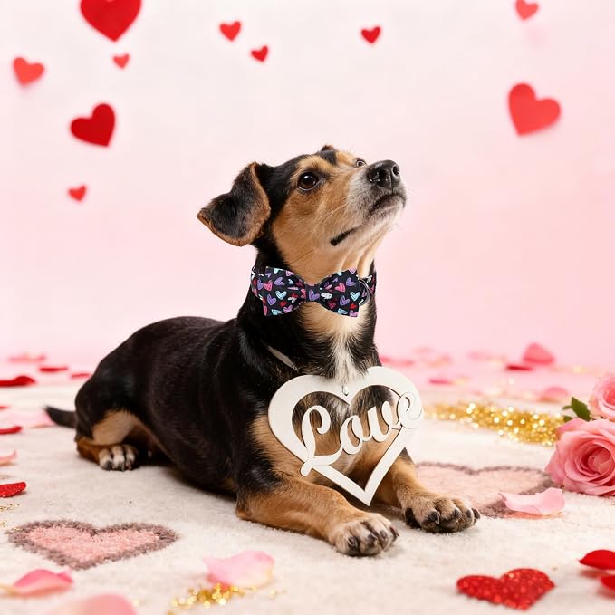 Valentines' Black Dog Collar - Image 4