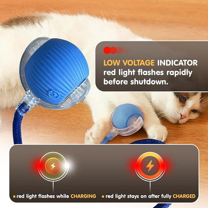 Rocfish Durable Interactive Cat Toys - Image 7