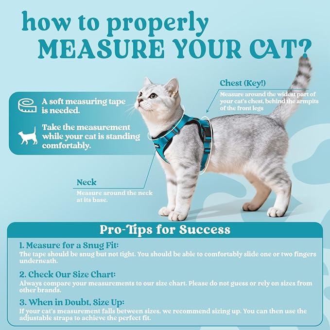 rabbitgoo Cat Harness and Leash - Image 2