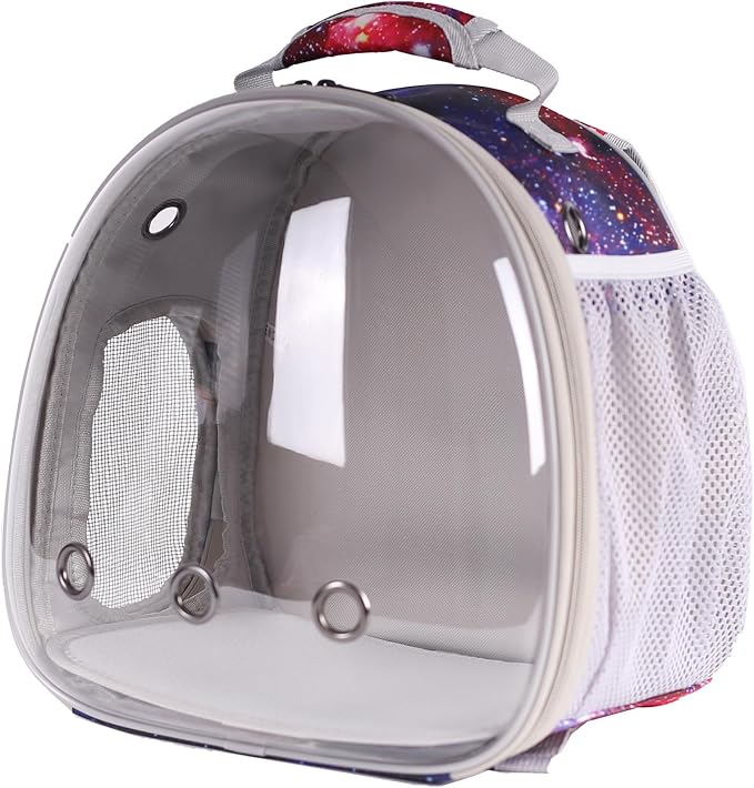 Guinea Pig Carrier Backpack, Bearded Dragon Backpack, Reptile Lizard Clear - Image 4