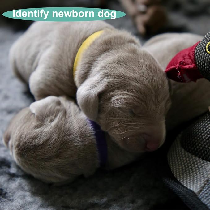 Luter 15 Colors 20x1cm Puppy Collars, Soft Adjustable Whelping Collars - Image 6