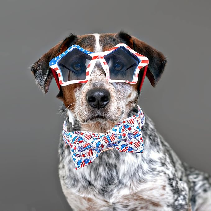 Lionheart glory American Flag Dog Collar, 4 of July Dog Bow Collar Heavy Duty - Image 6