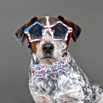 Lionheart glory American Flag Dog Collar, 4 of July Dog Bow Collar Heavy Duty - Image 6