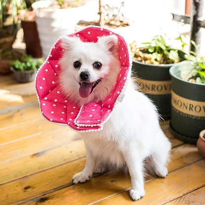 Adjustable Dog Cat Cone, Soft Recovery Cat Cone Collar, Dog Protective Collar - Image 6