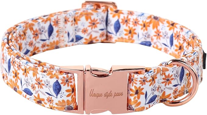 Unique style paws Dog Collar Metal Buckle Collar by Uniquestylepaws