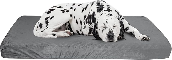 Orthopedic Dog Bed by PETMAKER