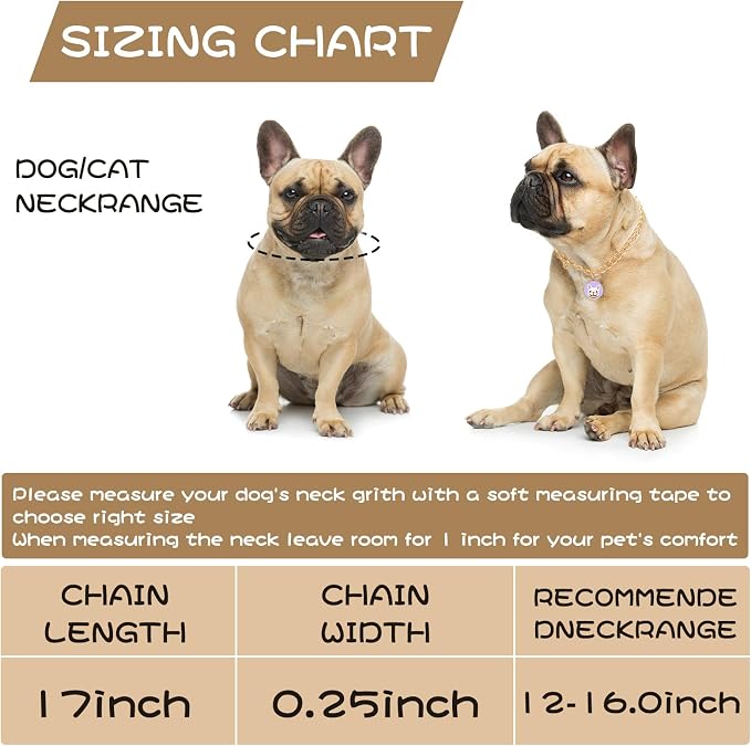 HOWWFALY Dog Collar and Cat Chain Necklace Stainless Steel Adjustable 18K Gold - Image 3