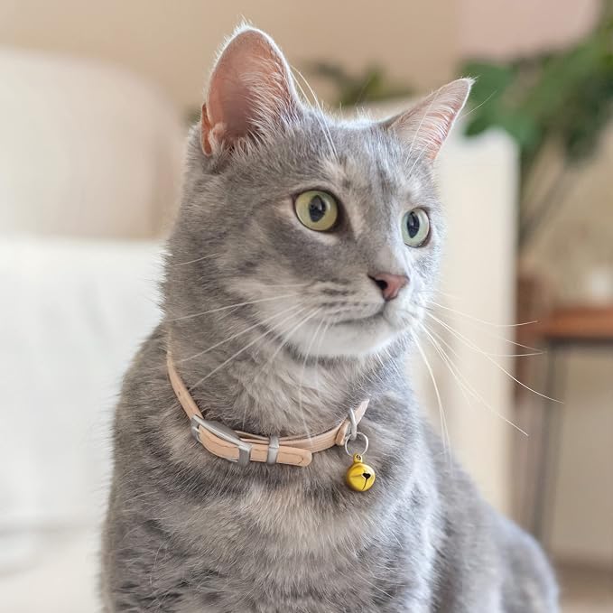 CollarDirect Leather Cat Collar - Image 6