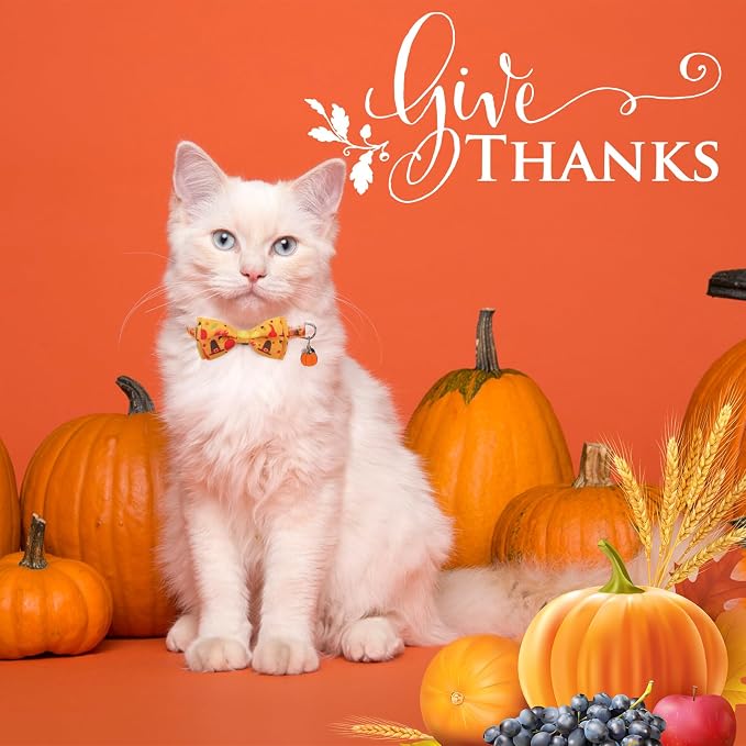 SCENEREAL Fall Thanksgiving Cat Collar Breakaway - Image 5