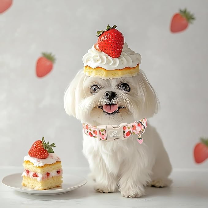 Strawberry Dog Collar for Medium Dogs - Image 7