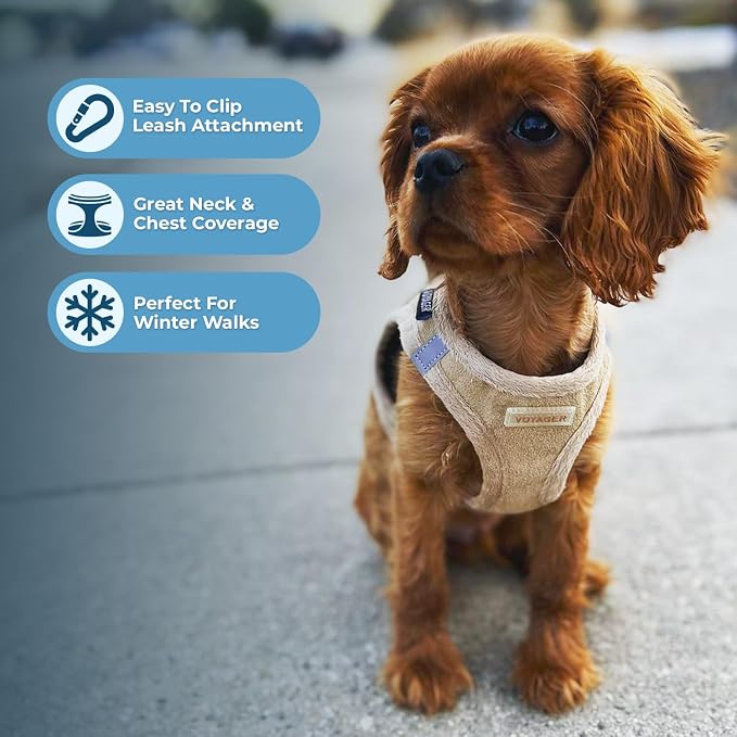 Best Pet Supplies - Image 5