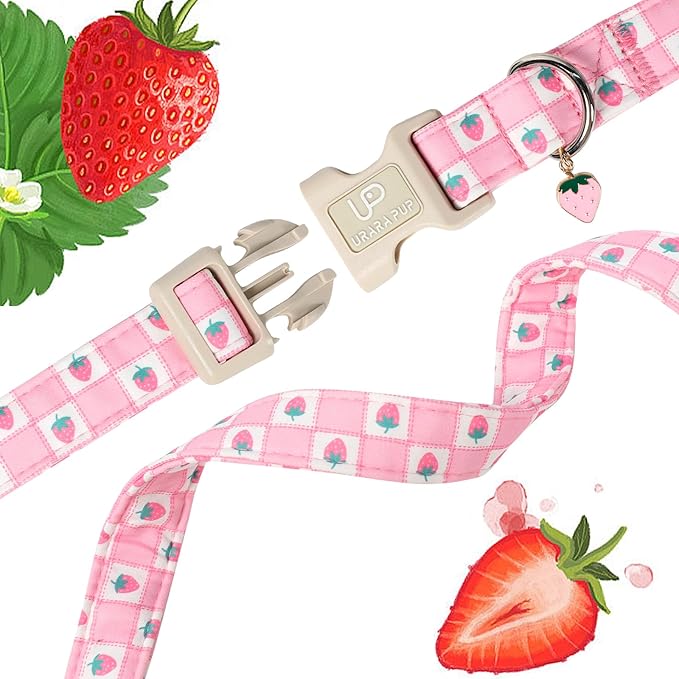 Spring Dog Collar, UP URARA PUP Strawberry Collars in Pink Checkered Adjustable - Image 4