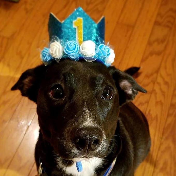 Pet Crown Hat Dog Birthday Reusable Birthday Party Crown - Image 8