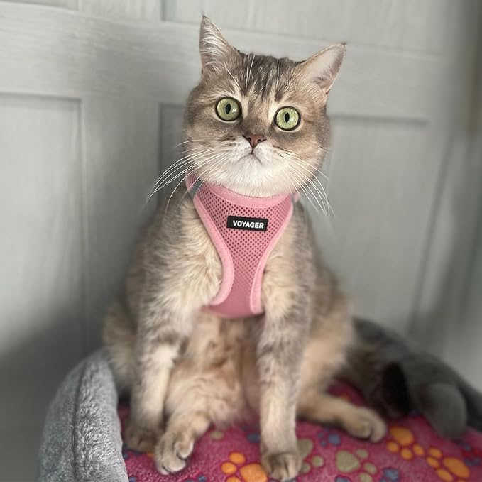 Best Pet Supplies Voyager Step-in Air Harness - Image 8