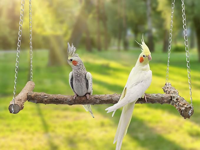 Large Bird Perch Swing Toy, Natural Pepper Wood Parrot Perch Stand Toy - Image 2