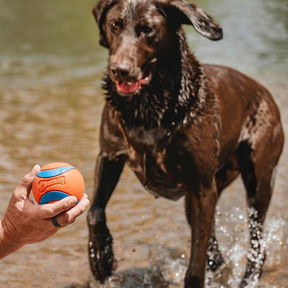 Chuckit! Ultra Ball Dog Toy - Image 3