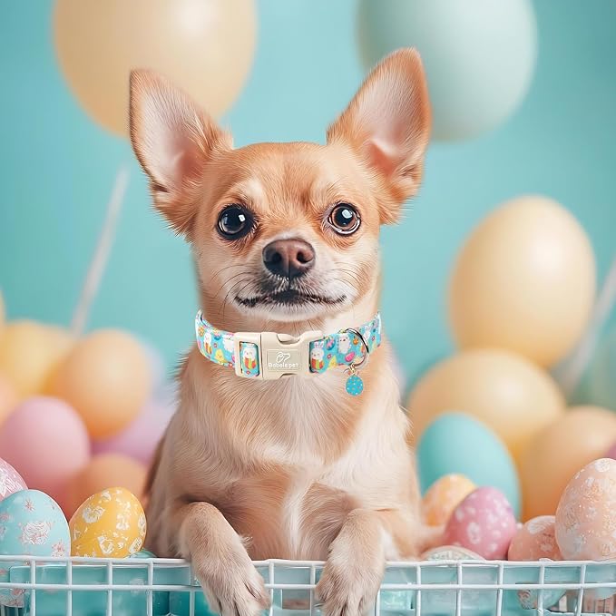 Easter Dog Collar for Puppy Small Dogs - Image 2