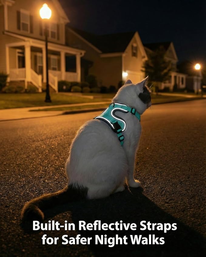 Luxelle 2 Pack Escape-Proof Cat Harness and Leash Set - Image 6