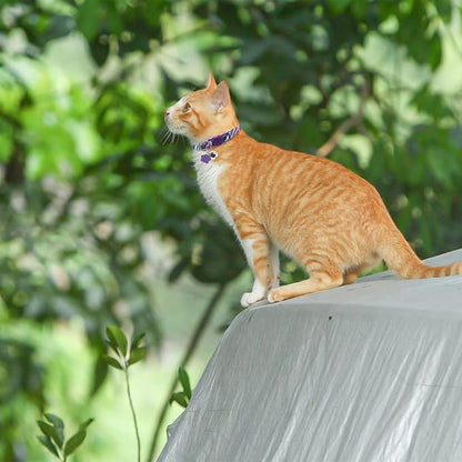 SCENEREAL Breakaway Cat Collar - Image 7