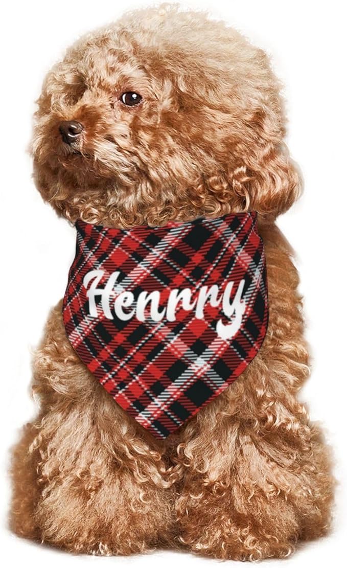 Custom Pet Scarf Personalized Dog Bandana - Image 7