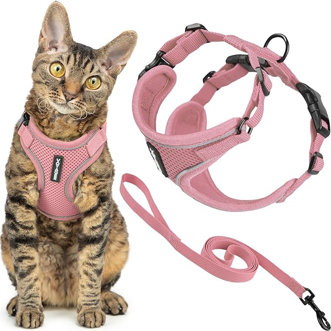 Voyager Escape-Proof Step-in Lock Cat Harness & 5ft Neoprene-Handle Leash Set by BestPetSuppliesLLC