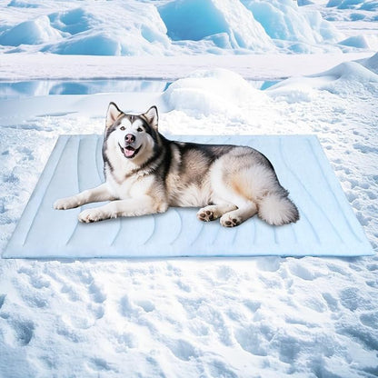 BECEMURU Dog Cooling Mat in Summer & Plush Warm Blanket in Winter, 2-Sided by BECEMURU