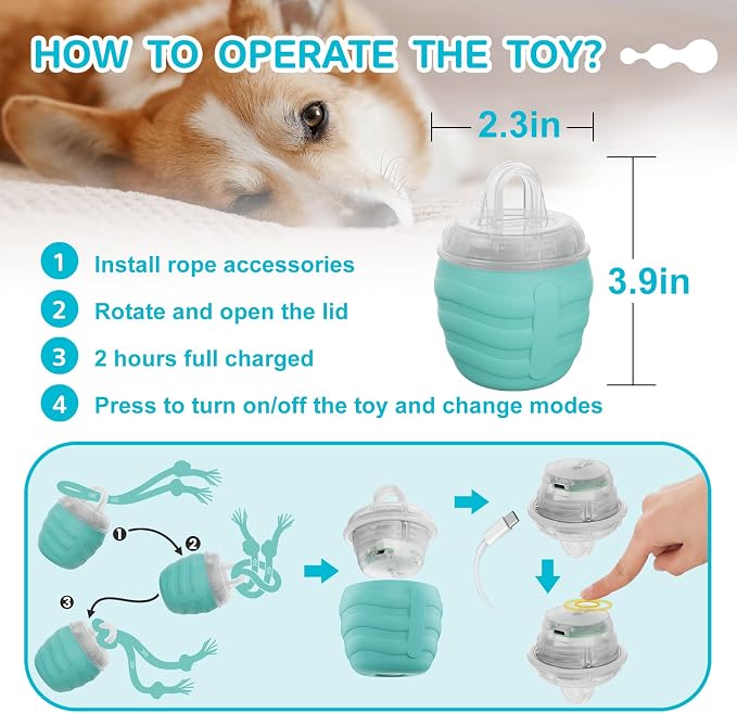 Interactive Dog Toy, Motion Activated Rolling Squeaky Ball - Image 5