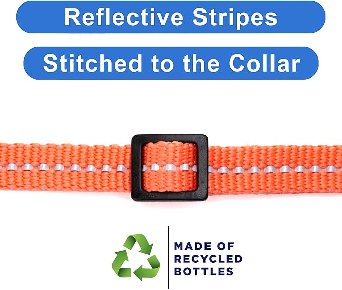 Pawtitas Recycled Coral Reflective Cat Collar – Eco-Friendly Breakaway Safety - Image 4