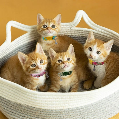 azuza 4 Pack Cat Kitten Collar Breakaway - Image 5