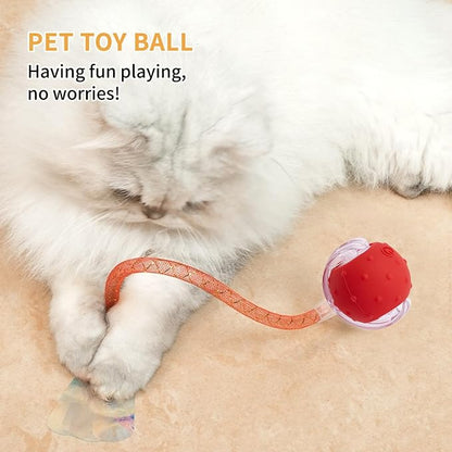 Interactive Cat Toys for Indoor Cats – Moving Ball Cat Play Mat, Interactive - Image 5