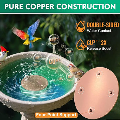 1 Pcs Copper Disc for Bird Bath | 99.99% Pure Copper Plate & Birdbath Disk | - Image 4
