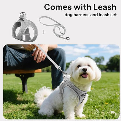 PetiFine Step in Small Dog Harness and Leash Set, Breathable All Weather Air - Image 5