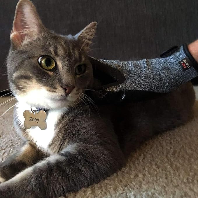 Otis and Claude Pet Grooming Gloves - Image 5