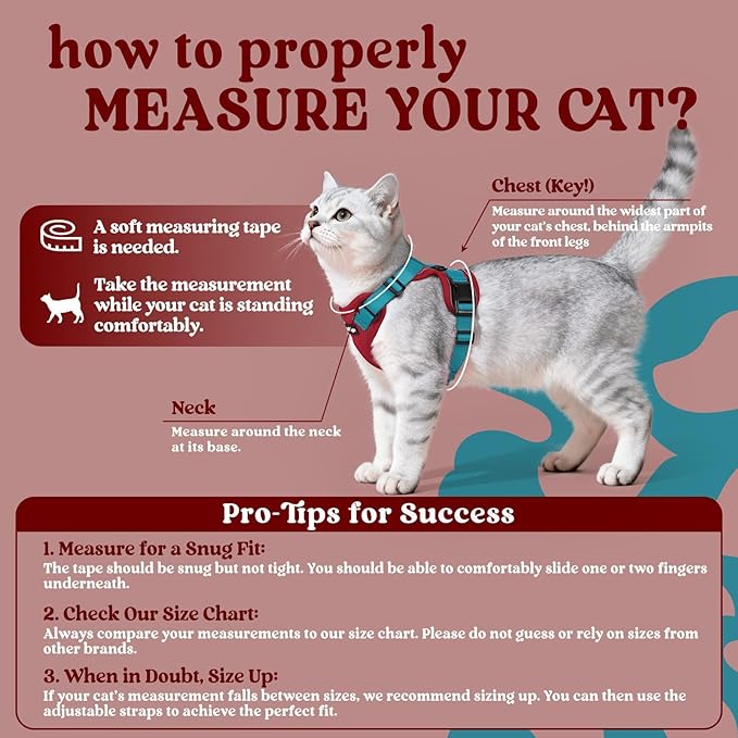 rabbitgoo Cat Harness and Leash - Image 2