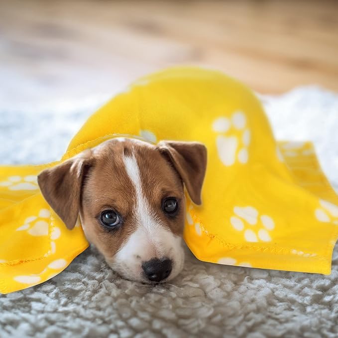 Tatuo 10 Pieces Pet Blankets - Image 6