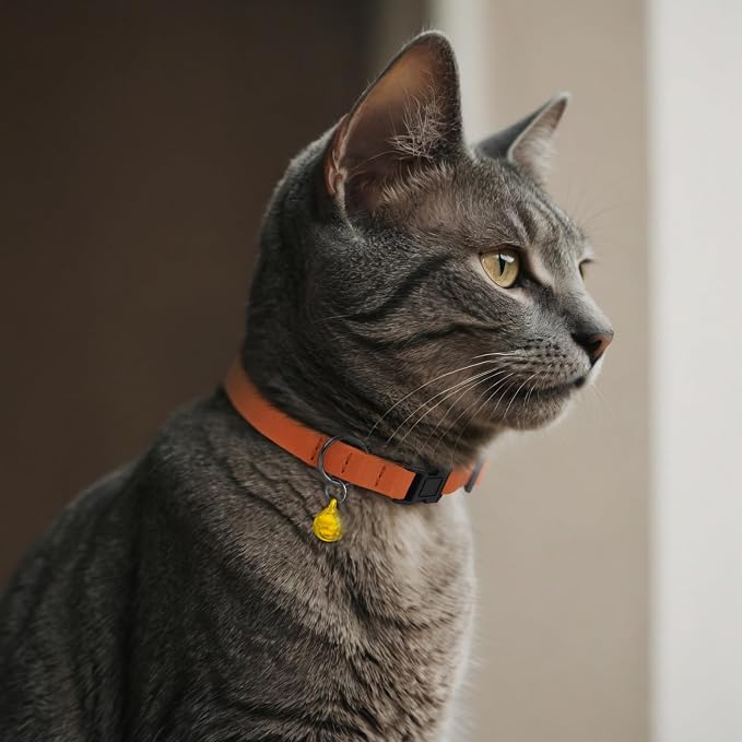 Breakaway Cat Collar Leather - Image 8