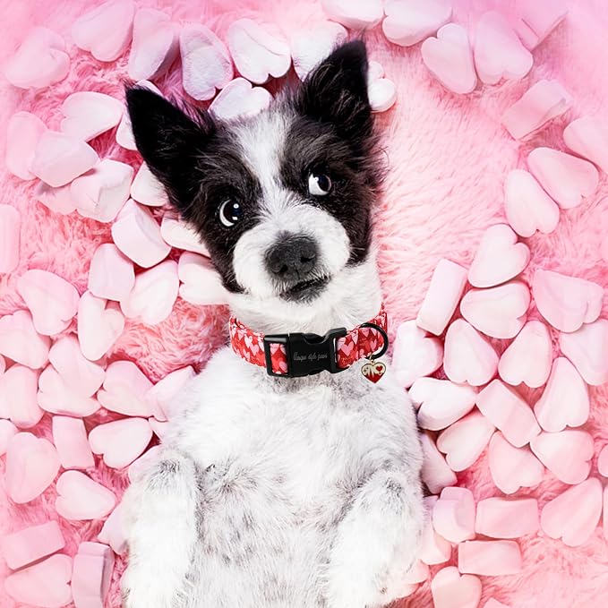 Unique style paws Valentine's Day Dog Collar Plastic Buckle Collar - Image 4