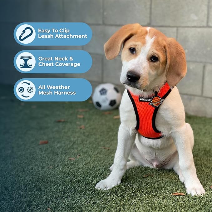 Best Pet Supplies Voyager Step-in Air Harness - Image 3