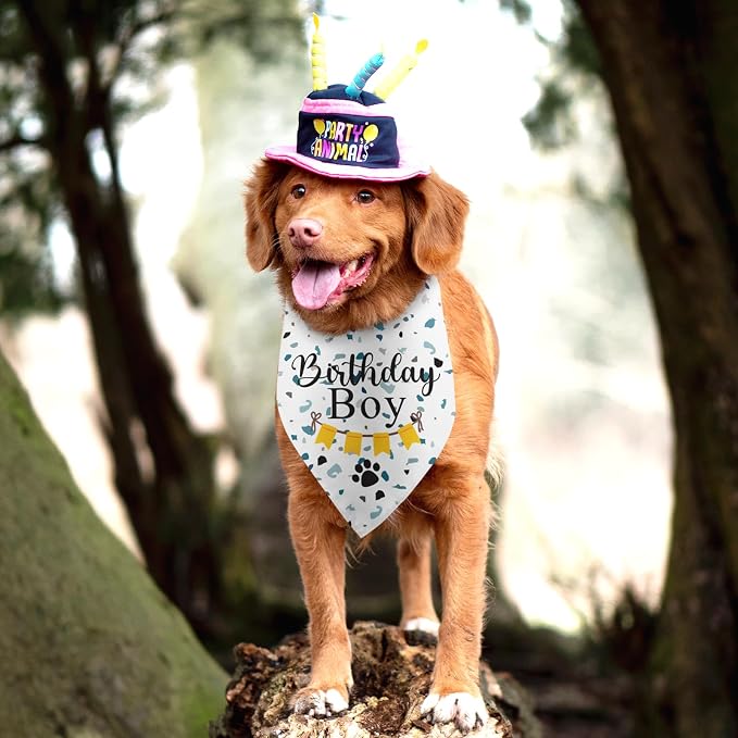 Dog Bandana for Birthday Party Supplies Puppy Pet Bandanas Boy Happy Birthday - Image 5