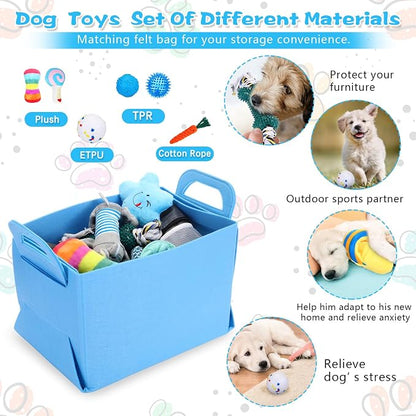 65 Pcs Puppy Supplies Starter Kit Small Dog Essentials Includes Dog Leash - Image 4
