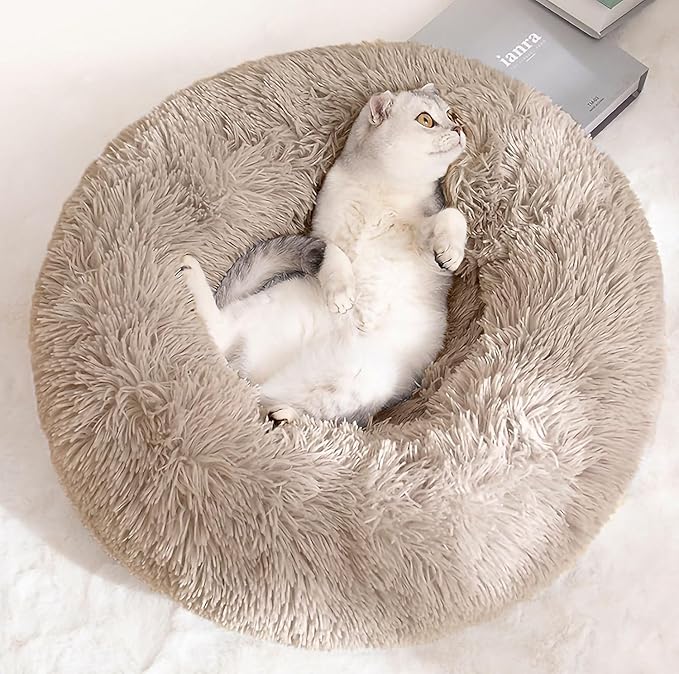 Cat Beds for Indoor Cats by Unknown