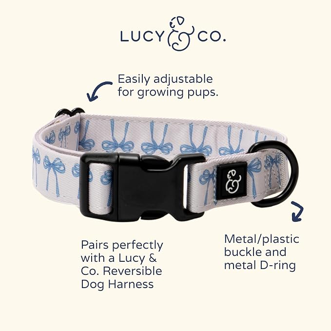 Lucy & Co. Dog Collar - Image 5