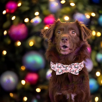 Christmas Dog Collar - Image 5