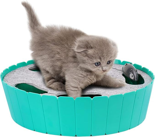 Pawaboo Interactive Cat Toy by Pawaboo